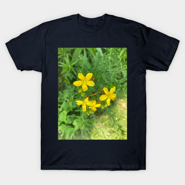 Pretty Yellow Wildflowers T-Shirt by Amanda1775